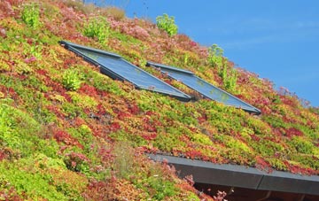 Bircotes living roof systems