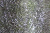 Bircotes fibreglass roof work